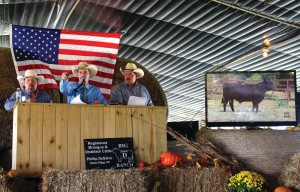 Big D Ranch 2017 Sale Wes Martin, Col. Luke Mobley & Phillip DeSalvo