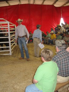 Luke Mobley and Jack Hedrick at Sunshine Farms Sale