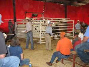 Luke Mobley, Jack Hedrick and Jimmy Fetner at Sunshine Farms Sale