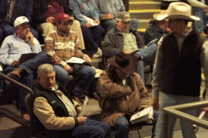 Luke Mobley at a sale in Calhoun, GA