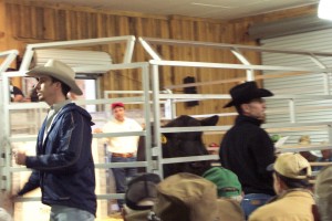 Luke Mobley & David Gazda at Green Wood Farms Angus Sale