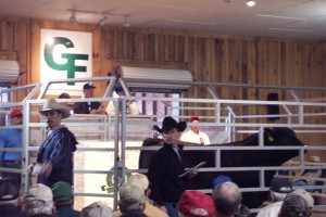 Luke Mobley & David Gazda at Green Wood Farms Angus Sale