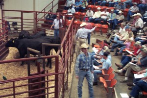 Luke Mobley and Jimmy Fetner at the Alabama Cattlemen's BCIA Sale