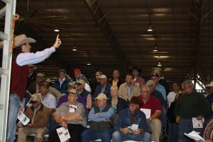 Luke Mobley at the 2011 Georgia Beef Expo