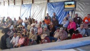 Luke Mobley at Frank Turner & Sons Angus Sale 2013