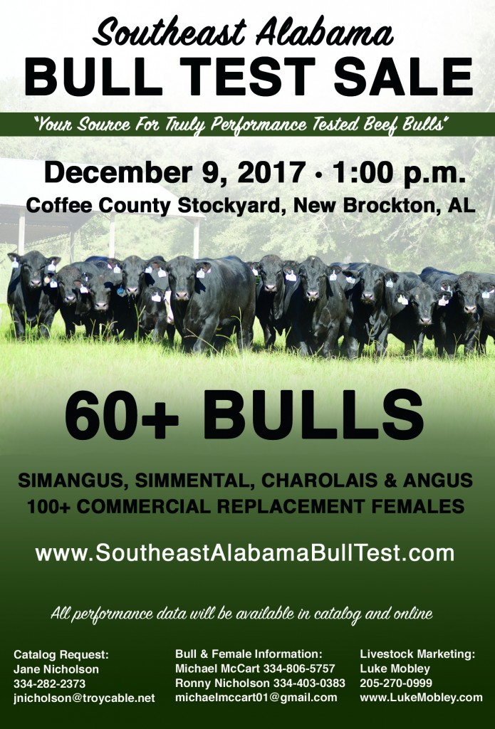 Southeast Alabama Bull Test Sale 2017