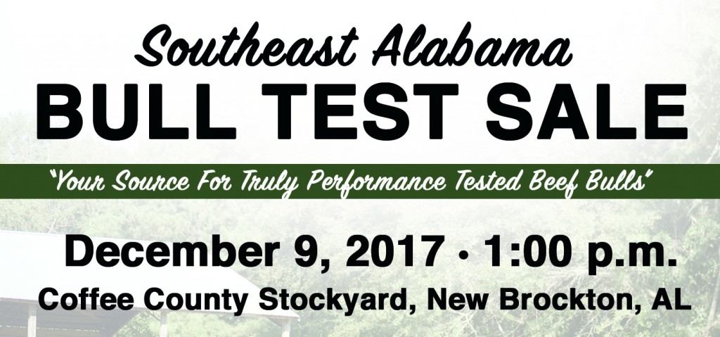 Southeast Alabama Bull Test Sale 2017 a